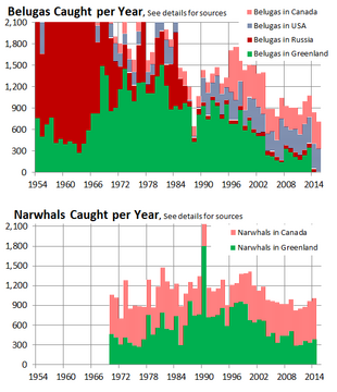 Data showing the number of caught belugas and narwhals from 1954 to 2014. Belugas were reported from the US, Russia, Canada and Greenland, while narwhals were recorded from Canada and Russia.