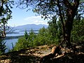 Bodega Ridge, Galiano Island