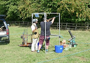 Small electrically powered trap operated by remote control