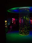 A cylindrical aquarium in one of the exhibits.