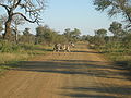 Kruger National Park