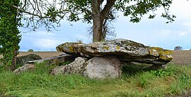 The Pierre couverte du Mousseau dolmen in Les Ulmes