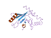 2ob4: Human Ubiquitin-Conjugating Enzyme CDC34