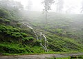 Monsoon stream flowing through a tea estate in Peermade