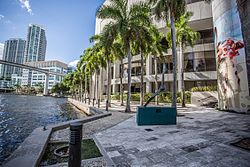 Riverwalk & Dockage View at the James L. Knight Center