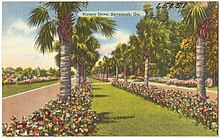 painting of victory drive with plantings