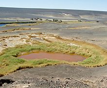 Brown lake surrounded by green vegetation in a black desert