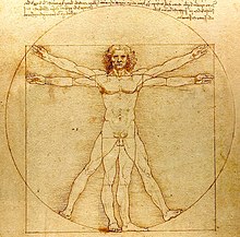 Drawing of da Vinci's concept of the ideal human body proportions.