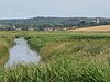 Cley Marshes