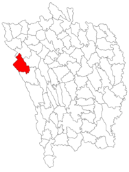 Location in Vaslui County