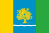 Flag of Dubivtsi