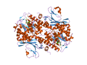 2gvj: Crystal Structure of Human NMPRTase in complex with FK866