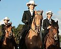 Strange palomino with blue eyes and Lavender skin, on the left a buckskin, on the right a bay with amber eyes.