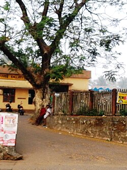 Kallayi Railway Station, Panniyankara