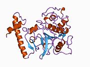 1by8: THE CRYSTAL STRUCTURE OF HUMAN PROCATHEPSIN K