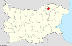 Zavet Municipality within Bulgaria and Razgrad Province.