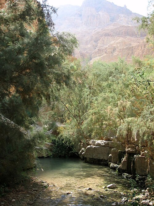 Ein Gedi Oasis, Israel