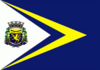 Flag of São Gabriel do Oeste