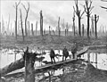 Image 19 Passchendaele Photo credit: James Francis Hurley Soldiers of an Australian 4th Division field artillery brigade on a duckboard track passing through Chateau Wood, near Hooge in the Ypres salient, October 29, 1917. The photo was taken in the vicinity of the Battle of Passchendaele, also known as the Third Battle of Ypres, which was one of the major battles of World War I. More selected pictures