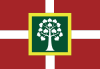 Flag of Žlutava
