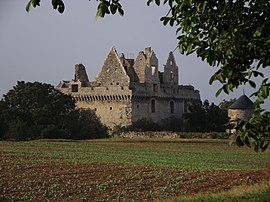 Ruins of Château du Grand-Riou