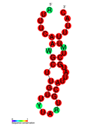 CRISPR-DR65: Secondary structure taken from the Rfam database. Family RF01378.