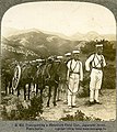 Transporting Type 31 Mountain Gun by Japanese artillery crew during Russo-Japanese War, 1904.Published 1906 by United States Stereograph Co.