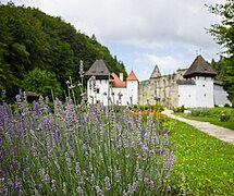 Žiče Charterhouse from monastic Herb Garden