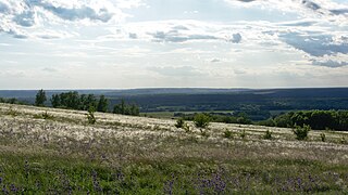 Typical view of steppe in Divnogorye