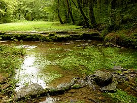 The source of the Aube river in Praslay