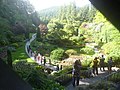 Butchart Gardens