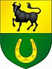 Coat of arms of Zhaludok