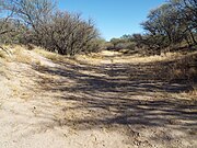 Dried up San Pedro River - 2020