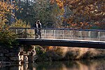 行人天橋(森林公園)