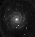 NGC 3938 with supernova SN 2005ay