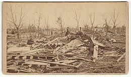 Piles of wooden debris with trees defoliated in the background