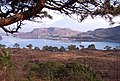 Shieldaig, viewed from the road to Applecross