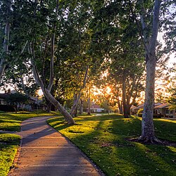 A typical greenbelt section passing between homes in University Park, Irvine, California.