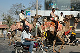 2. Riding their proud camels past anonymous shop window, Bangalore.