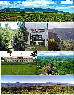 Top to bottom: Kitanglad Range National Park; Pulangi River at San Jose, Quezon; Bukidnon Welcome Marker at Alae, Manolo Fortich; Mangima Canyon; Bukidnon Provincial Capitol; Overview at Palacapao, Quezon; Kalatungan Range National Park