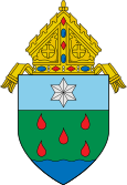 Diocese of Borongan