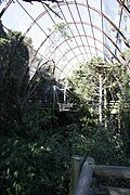 Inside the aviary