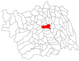 Location in Bacău County