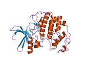 1gz8: HUMAN CYCLIN DEPENDENT KINASE 2 COMPLEXED WITH THE INHIBITOR 2-AMINO-6-(3'-METHYL-2'-OXO)BUTOXYPURINE