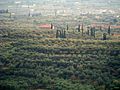 Rural area in the municipality of Agrinio