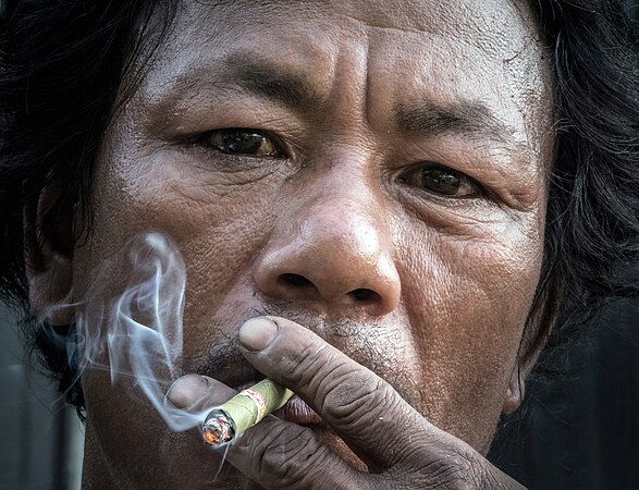 图为正在抽无滤嘴方头雪茄的缅甸男子。