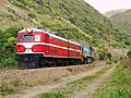 EW & DC locos near Paekākāriki 2005