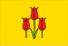 沃洛科诺夫卡旗帜