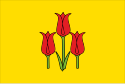 Flag of Volokonovsky District