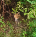 於 2023年4月5日 (三) 02:21 版本的縮圖